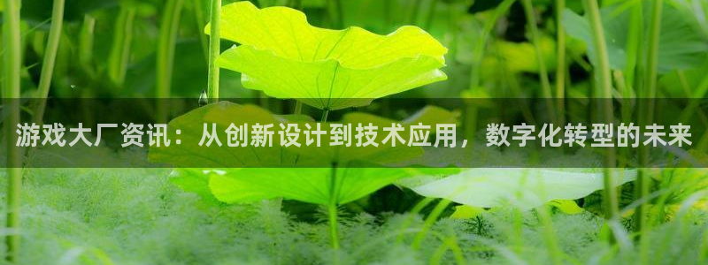 赢咖娱乐的意思：游戏大厂资讯：从创新设计到技术应用，数字化转