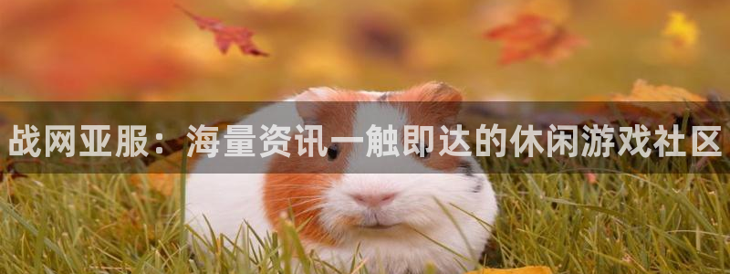 赢咖娱乐平台注册开户