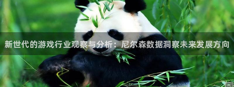 赢咖娱乐娱乐是真的吗：新世代的游戏行业观察与分析：尼尔森数据
