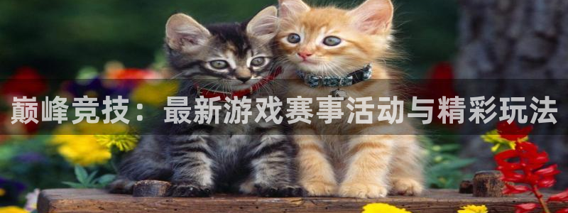 赢咖娱乐的意思