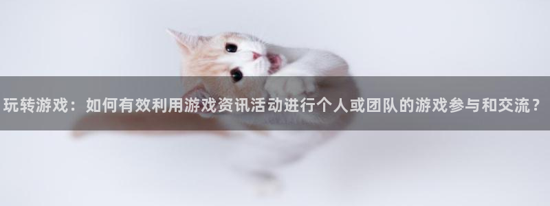 赢咖娱乐娱乐是真的吗：玩转游戏：如何有效利用游戏资讯活动进行