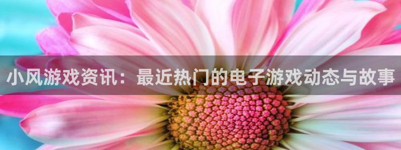 赢咖娱乐下载链接：小风游戏资讯：最近热门的电子游戏动态与故事