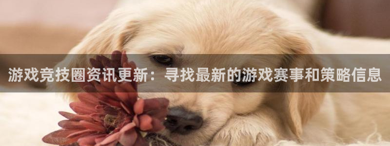 赢咖娱乐官网登录:游戏竞技圈资讯更新:寻找最新的游戏赛事和策