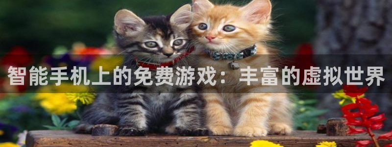 赢咖娱乐主管
