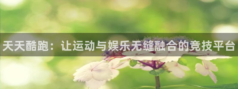 赢咖娱乐网页登录入口下载：天天酷跑：让运动与娱乐无缝融合的竞
