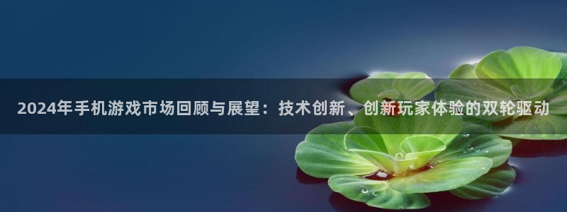 赢咖娱乐咨询：2024年手机游戏市场回顾与展望：技术创新、创