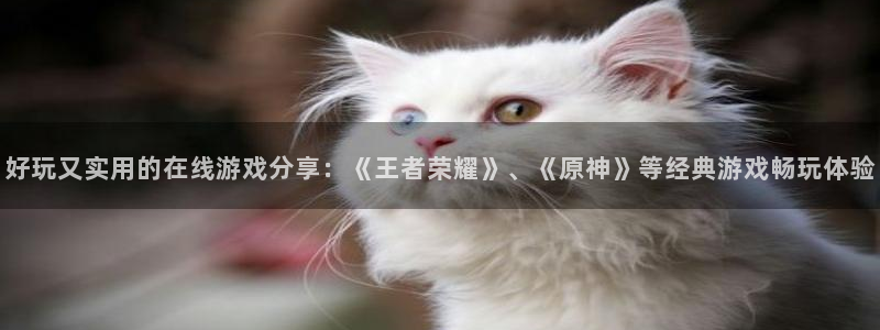 赢咖娱乐注册开户：好玩又实用的在线游戏分享：《王者荣耀》、《