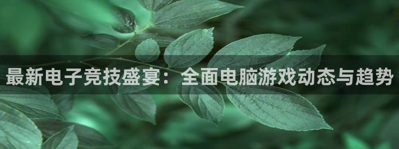 赢咖娱乐测速：最新电子竞技盛宴：全面电脑游戏动态与趋势